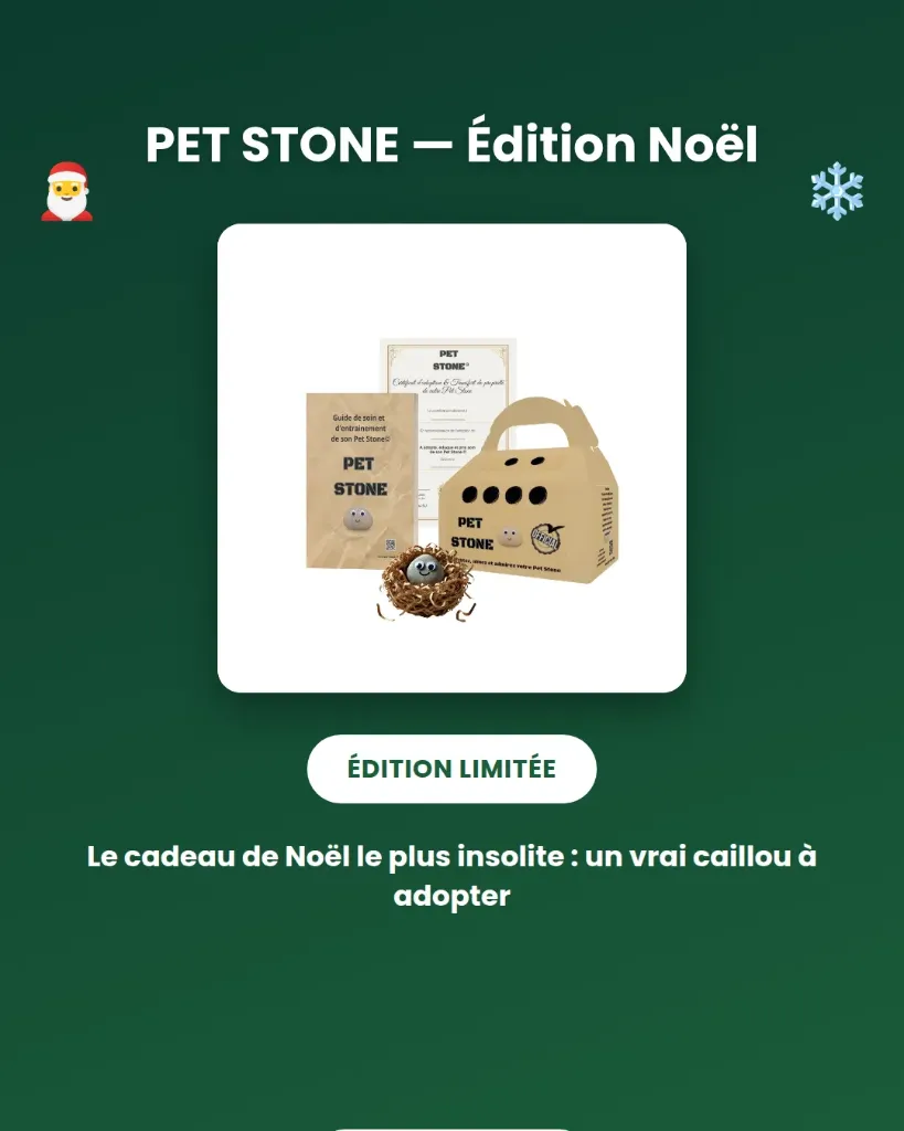 Pet Stone © : Weihnachtsedition